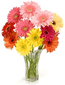 A picture of a bouquet of flowers, the symbol of really simple XML formats.