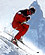 A picture named skier.gif