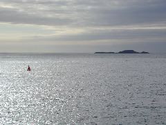 DSCN0852