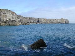 DSCN0965