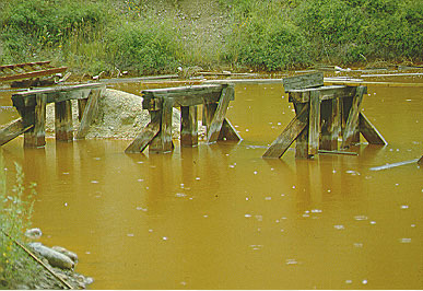 water pollution