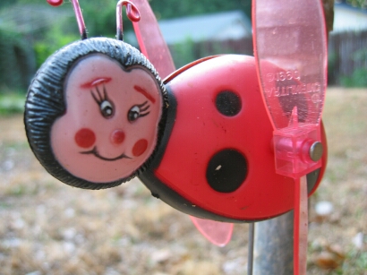a lawn ladybug