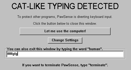 Image result for cat like typing
