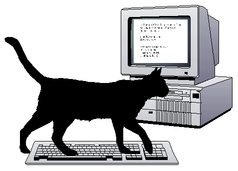 A cat on a keyboard