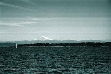 Mt. Baker
