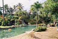Hanalei Bay Resort Pool